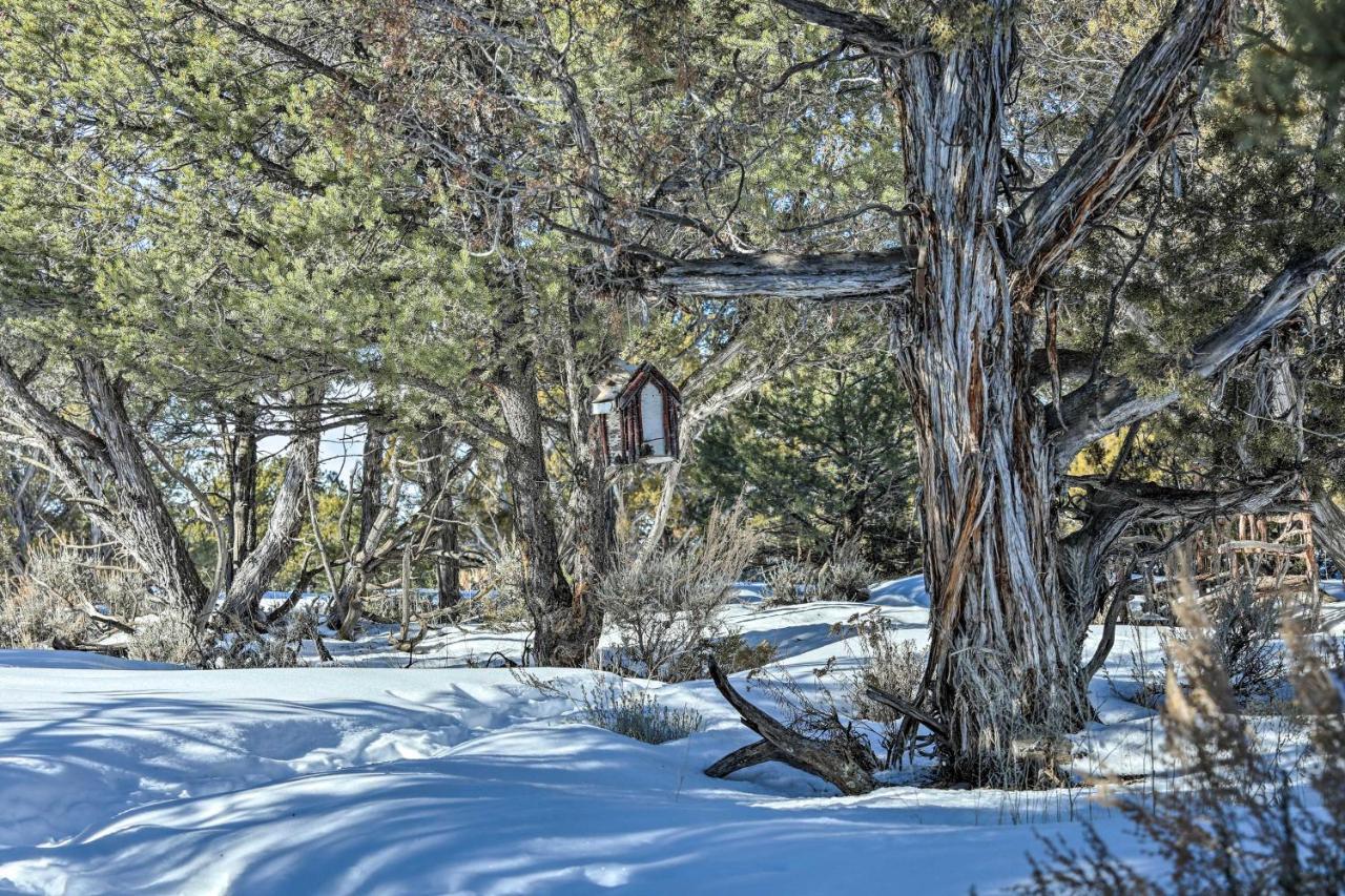 Вилла Eagles Landing A Quiet Colorado Mountain Escape Экстерьер фото
